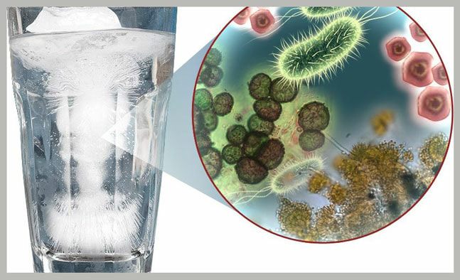 Vi khuẩn có trong nước máy